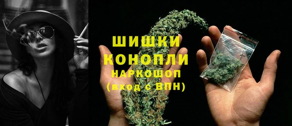 МДПВ Костерёво
