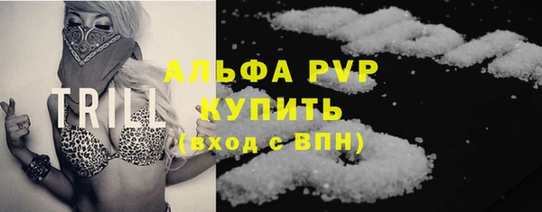 СК Коряжма