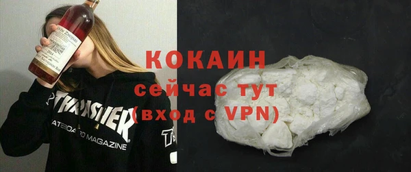 СК Коряжма