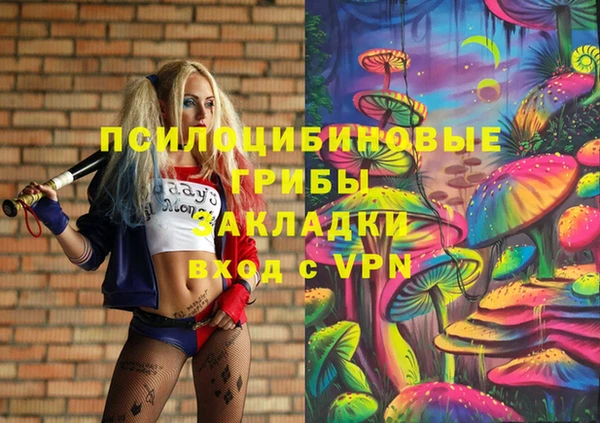 СК Коряжма