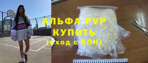 СК Коряжма