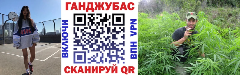 Купить  Новосокольники  Канабис план 